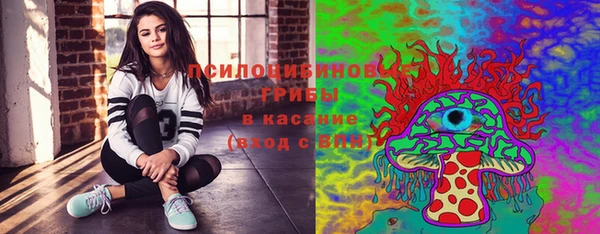 гидра Тихвин