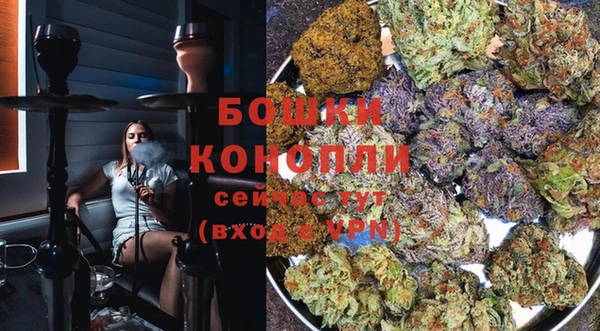 стаф Тобольск