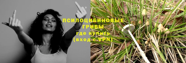 гидра Тихвин