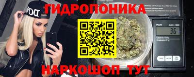 прущие грибы Гагарин