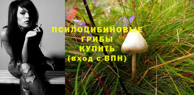 Галлюциногенные грибы Magic Shrooms  Коломна 